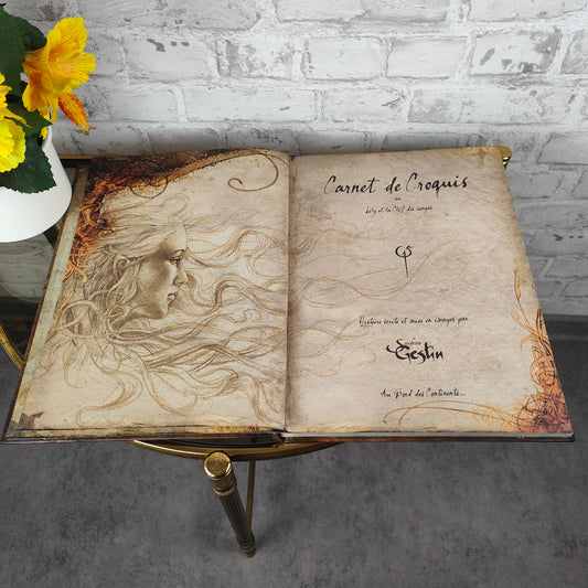 Carnet de Croquis ou Lily et la Clef des songes Sandrine Gestin Buch gebunden 2007 französisch