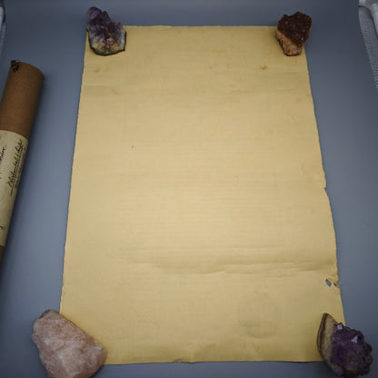 Heidelberg Bürgerrechtsurkunde 1934 August Molitor mit Originalrolle Urkunde Papier Stadturkunde Dokument Zeitgeschichte