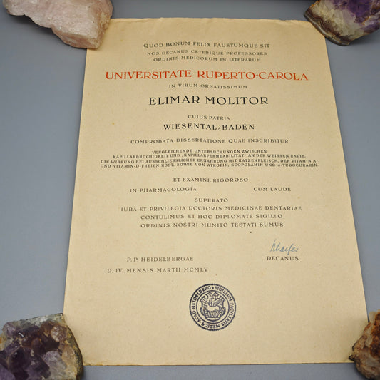 Universität Heidelberg Urkunde Promotion 1955 Doktor Medizin Cum Laude Elimar Molitor mit Originalrolle Zeitgeschichte