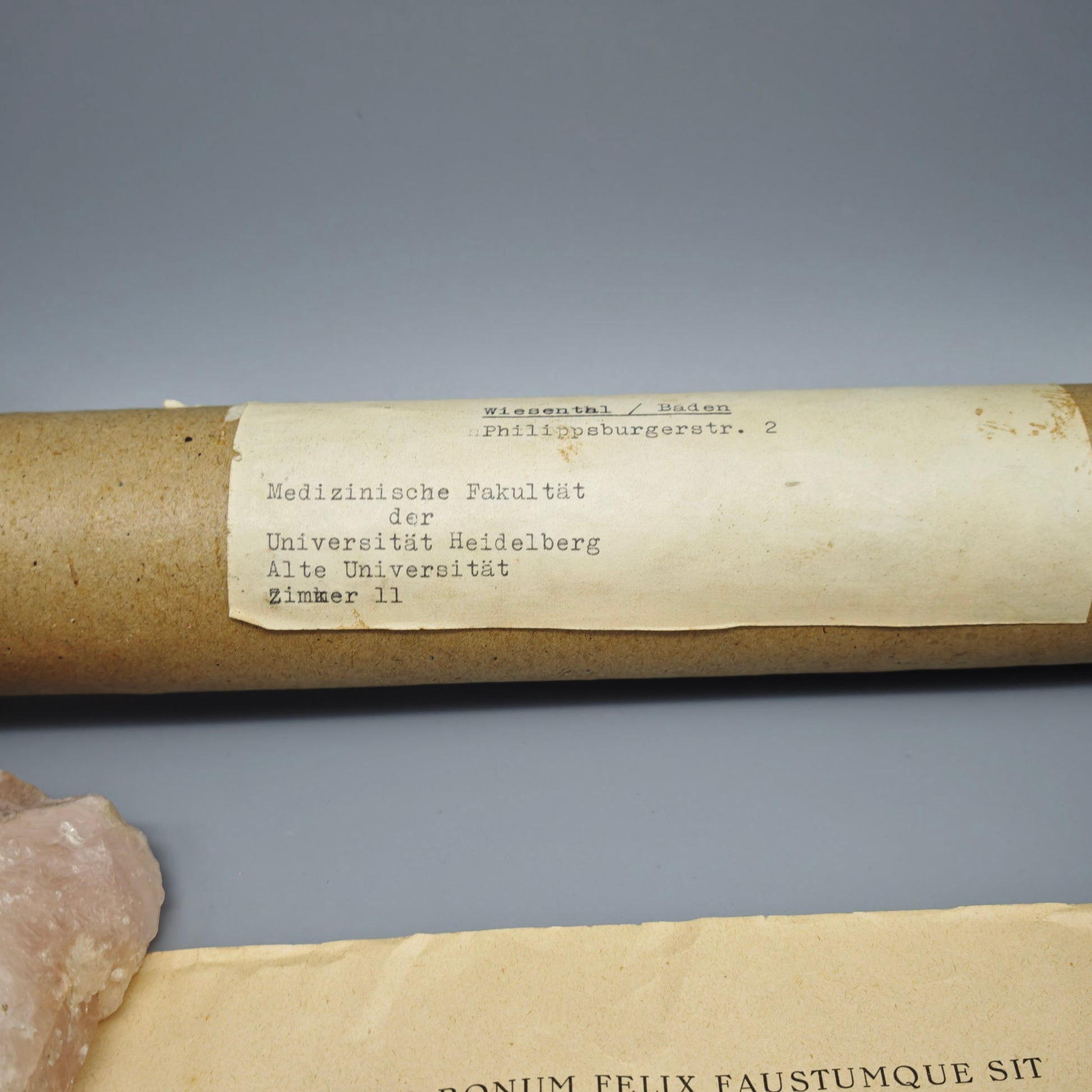 Universität Heidelberg Urkunde Promotion 1955 Doktor Medizin Cum Laude Elimar Molitor mit Originalrolle Zeitgeschichte