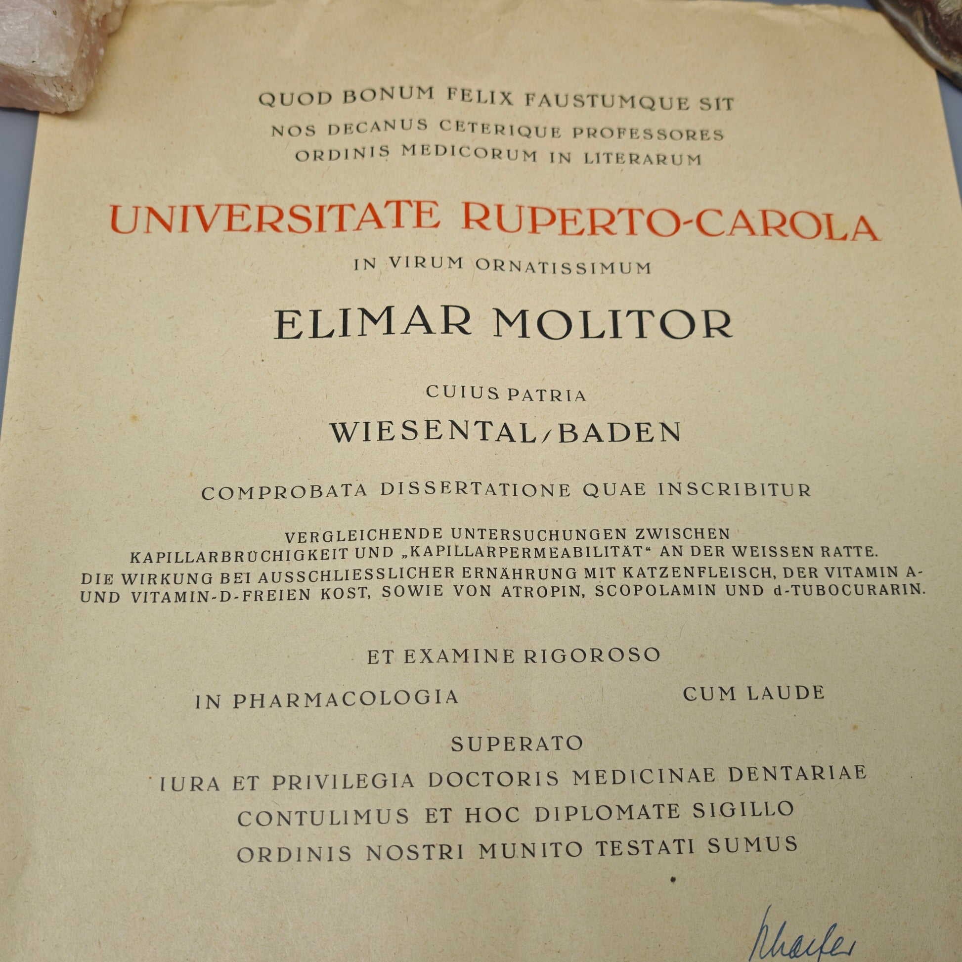 Universität Heidelberg Urkunde Promotion 1955 Doktor Medizin Cum Laude Elimar Molitor mit Originalrolle Zeitgeschichte