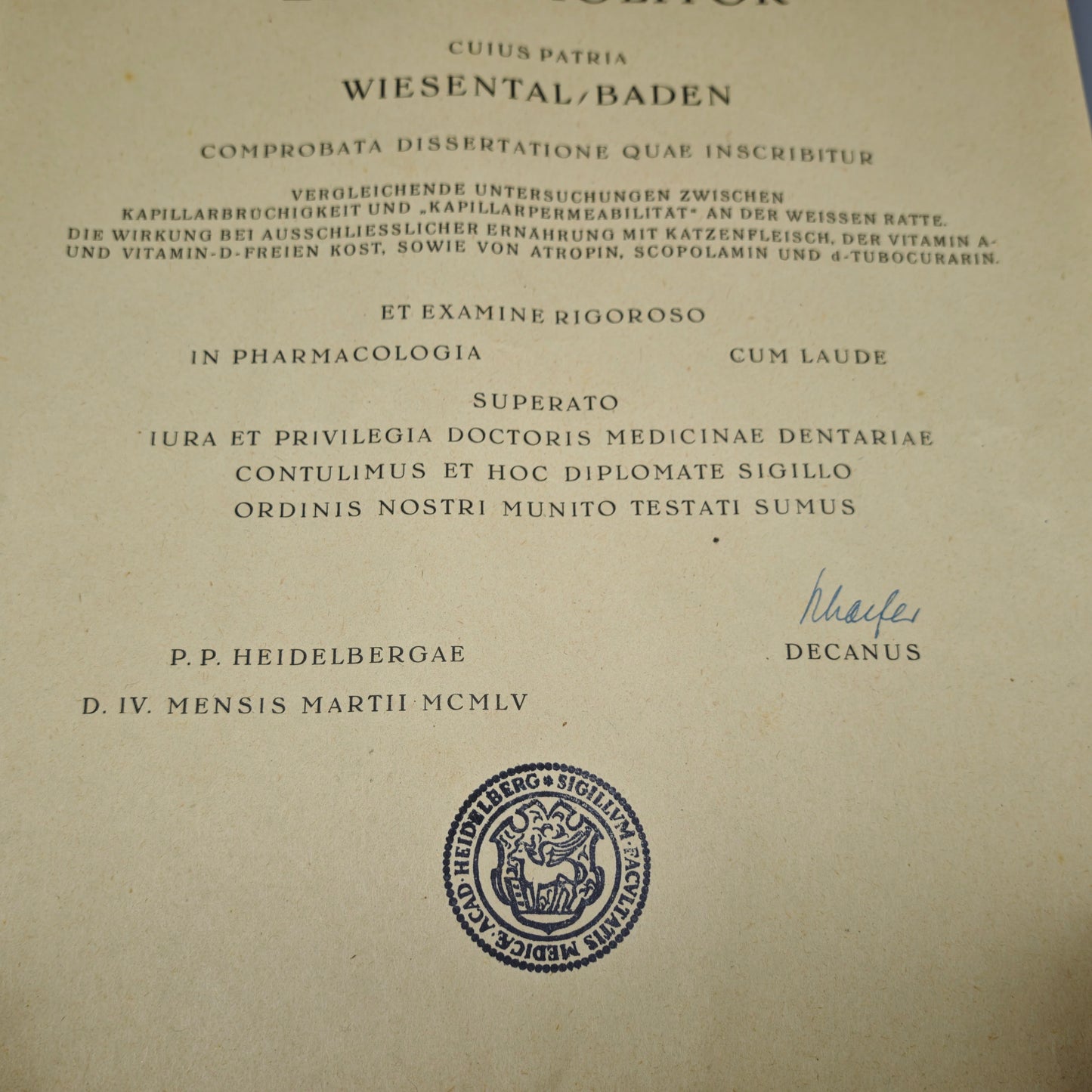 Universität Heidelberg Urkunde Promotion 1955 Doktor Medizin Cum Laude Elimar Molitor mit Originalrolle Zeitgeschichte