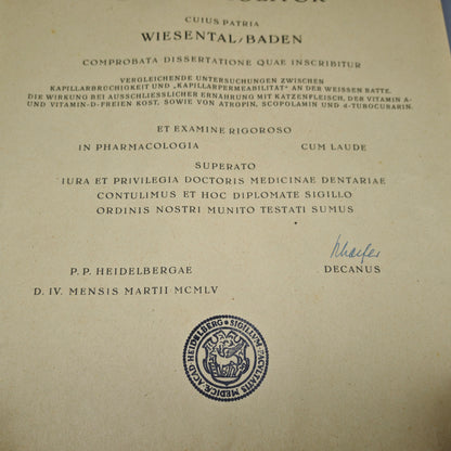 Universität Heidelberg Urkunde Promotion 1955 Doktor Medizin Cum Laude Elimar Molitor mit Originalrolle Zeitgeschichte