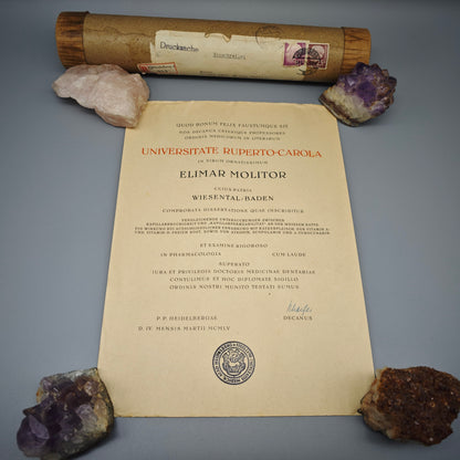 Universität Heidelberg Urkunde Promotion 1955 Doktor Medizin Cum Laude Elimar Molitor mit Originalrolle Zeitgeschichte