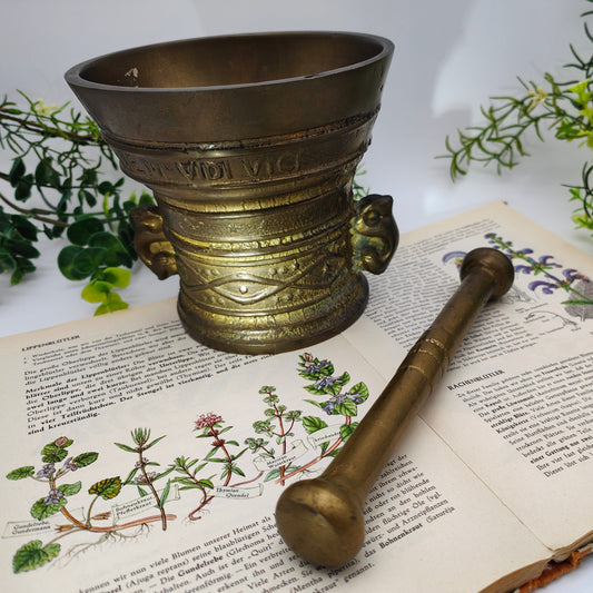 Mortar with pestle inscription Latin brass pharmacy witch potion decoration cauldron herbs Wicca country house cottagecore academia witchcore
