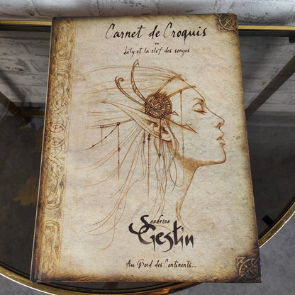 Livre de mots croisés ou Lily et la clé des chansons Sandrine Gestin Relié 2007 Français