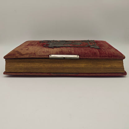 Cabinet photo album Art Nouveau application copper velvet red photos 1900 soldiers wedding civil imperial era gold edge gold edge antique nostalgia