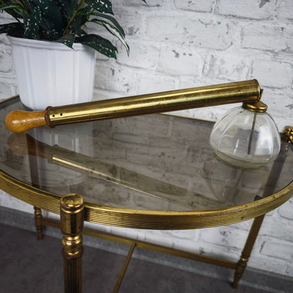 Pulvérisateur en laiton antique pour plantes, jardin, pot en verre, lutte antiparasitaire, pulvérisateur de protection des plantes, pulvérisateur de jardin, plantes d'intérieur