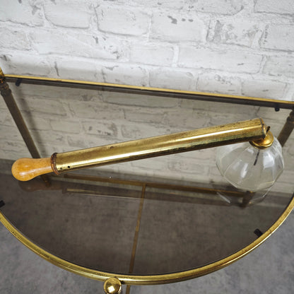 Pulvérisateur en laiton antique pour plantes, jardin, pot en verre, lutte antiparasitaire, pulvérisateur de protection des plantes, pulvérisateur de jardin, plantes d'intérieur