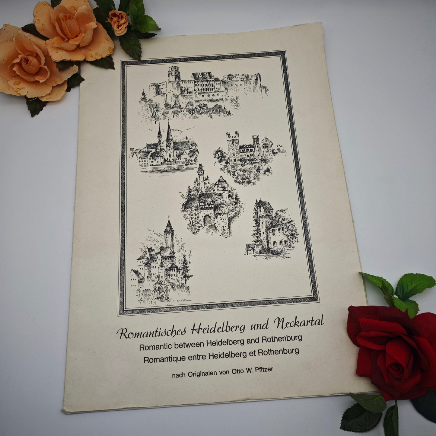 5 Radierungen Romantisches Heidelberg & Neckartal von Otto W. Pfitzer Schloss Kunst Zwingenberg Burg  Hirschhorn Panorama Ufer Neckargemünd Neckarsteinach
