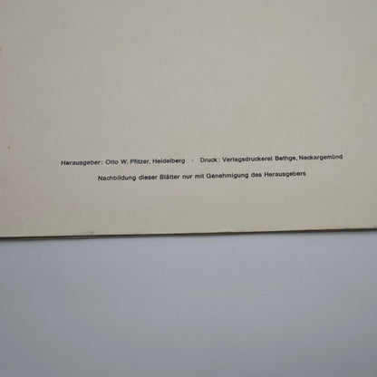 5 Radierungen Romantisches Heidelberg & Neckartal von Otto W. Pfitzer Schloss Kunst Zwingenberg Burg  Hirschhorn Panorama Ufer Neckargemünd Neckarsteinach