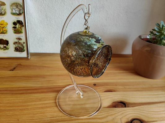 Terrarium de bureau boule micro paysage baie suspendu verre marbré succulentes miniature jardin de fées mousse goblincore academia verre art
