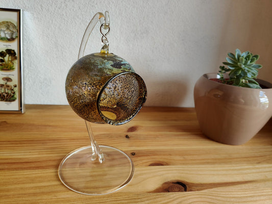Terrarium de bureau boule micro paysage baie suspendu verre marbré succulentes miniature jardin de fées mousse goblincore academia verre art